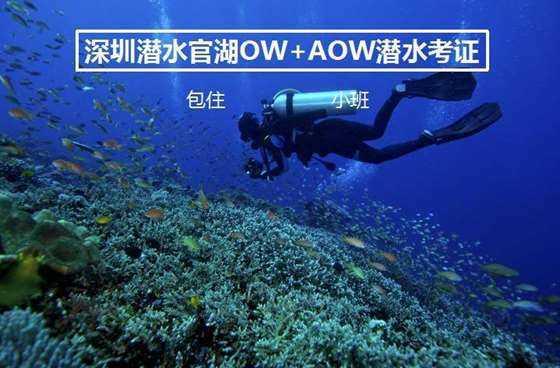 阳光女孩装扮