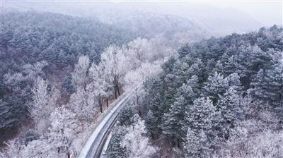逗小猴开心系列210